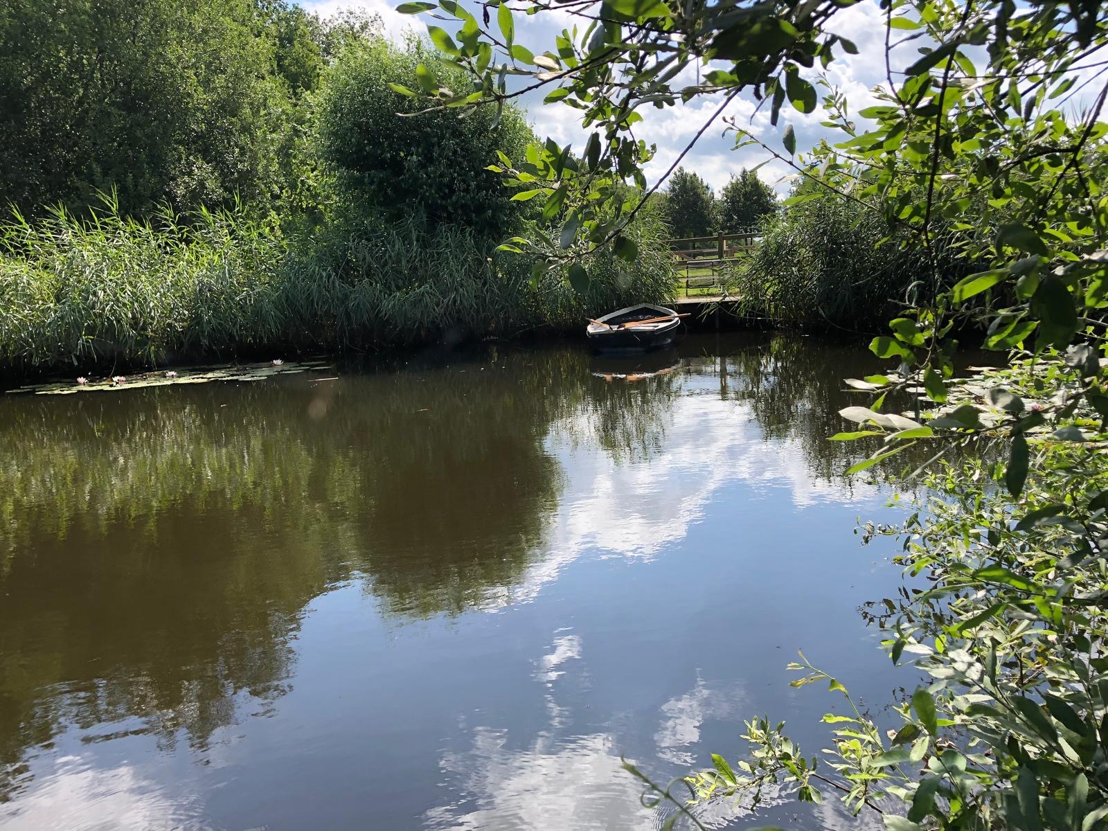 De roeiboot aan het stille water